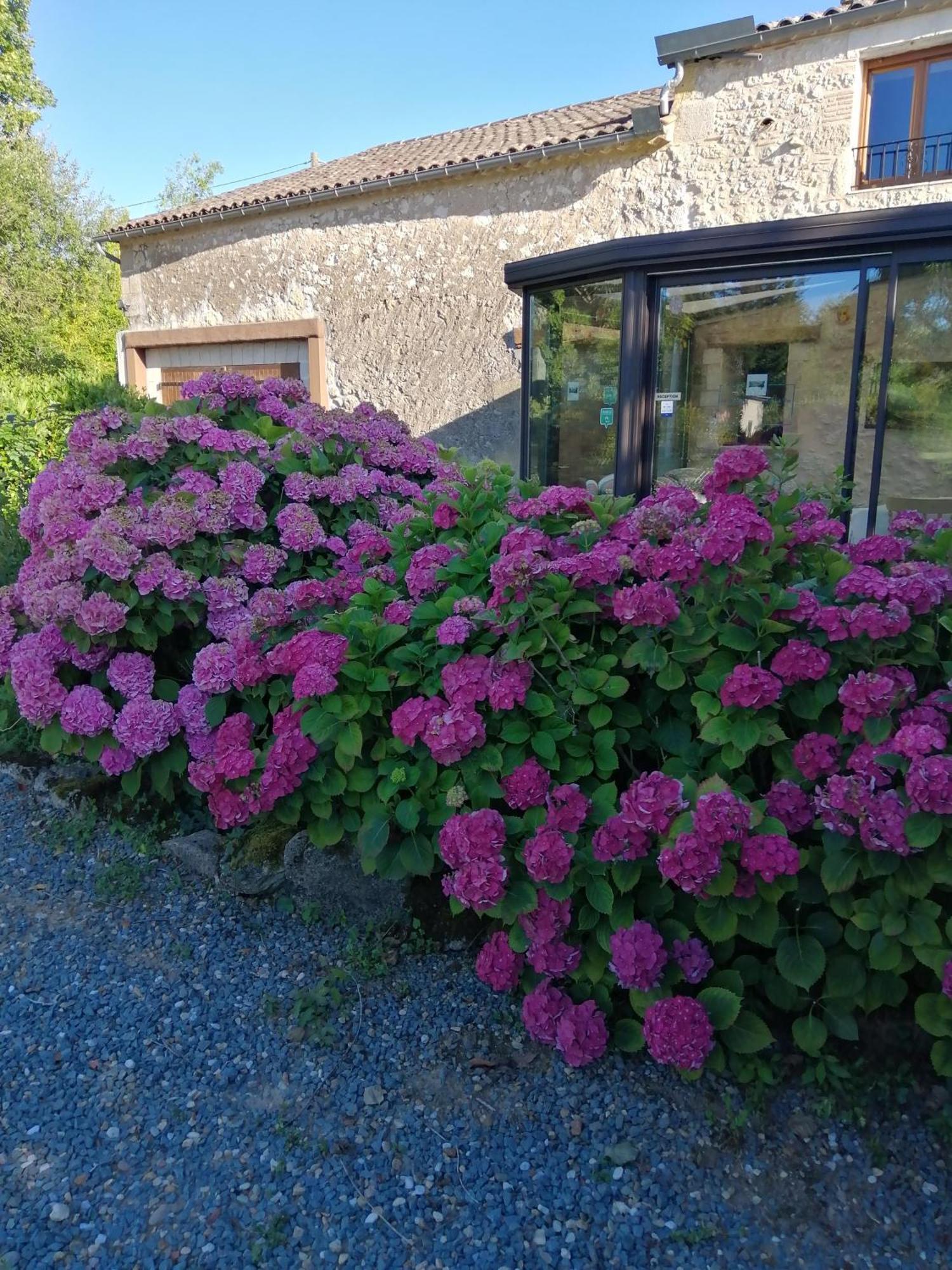 Bed and Breakfast Le Grand Chemin De La Vie Montcaret Zewnętrze zdjęcie